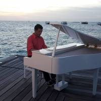 Pianist, Online Piano Teacher (photo 7)