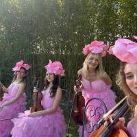 String Quartet (photo 1)
