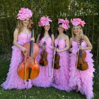 String Quartet (photo 2)