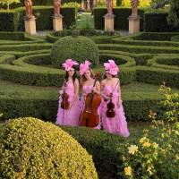 String Quartet (photo 5)
