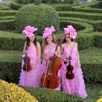 String Quartet (photo 3)