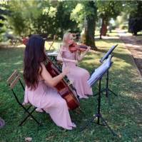 String Quartet Classic and Light music (photo 13)