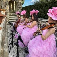 String Quartet Classic and Light music (photo 5)