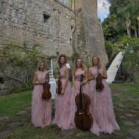 String Quartet Classic and Light music (photo 9)