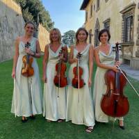 String Quartet Classic and Light music (photo 12)