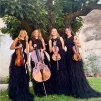 String Quartet Classic and Light music (photo 3)