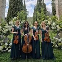 String Quartet Classic and Light music (photo 2)