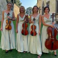 String Quartet Classic and Light music