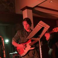 Paul Linkous-Electric & Upright Bassist  (photo 7)