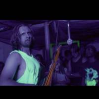 Paul Linkous-Electric & Upright Bassist  (photo 5)