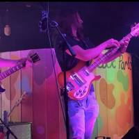 Paul Linkous-Electric & Upright Bassist  (photo 3)