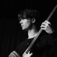 Professional Bassist (photo 5)