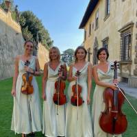 String Quartet Classic and Light music (photo 12)