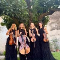String Quartet Classic and Light music (photo 3)