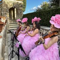 String Quartet Classic and Light music (photo 5)