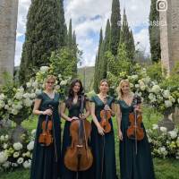 String Quartet Classic and Light music (photo 2)