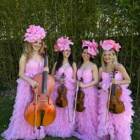 String Quartet Classic and Light music (photo 14)