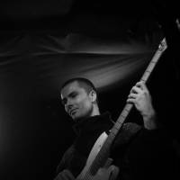 Professional Bassist (photo 3)