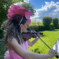 String Quartet Classic and Light music (photo 4)