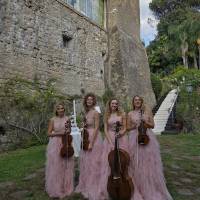 String Quartet Classic and Light music (photo 9)