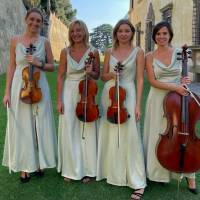 String Quartet Classic and Light music