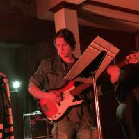 Paul Linkous-Electric & Upright Bassist  (photo 7)
